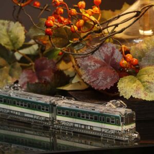 【3Dアクデン】京阪電車600形615・616号車セット